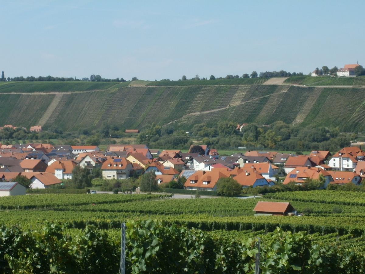 Gaestehof - Weinbau Saeger Nordheim am Main Kültér fotó